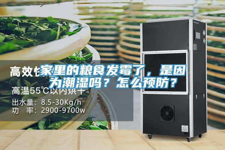 家里的糧食發(fā)霉了，是因為潮濕嗎？怎么預防？
