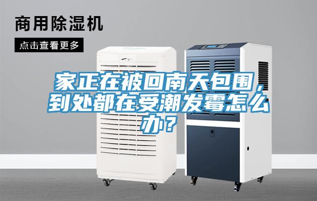 家正在被回南天包圍，到處都在受潮發霉怎么辦？