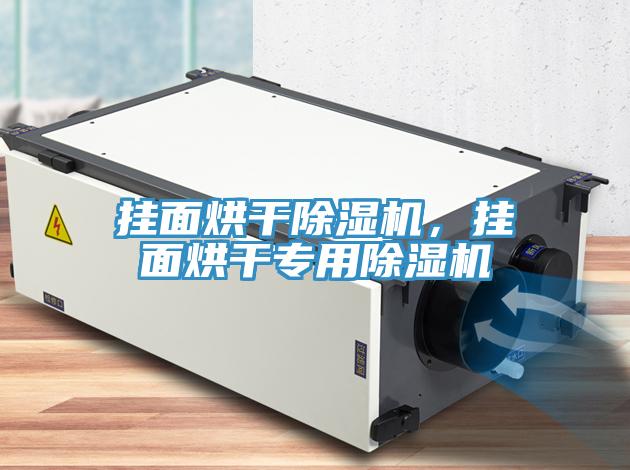 掛面烘干除濕機，掛面烘干專用除濕機