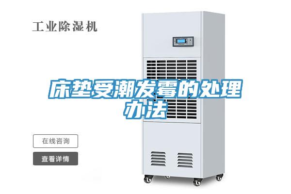 床墊受潮發霉的處理辦法