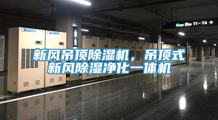 新風吊頂除濕機，吊頂式新風除濕凈化一體機
