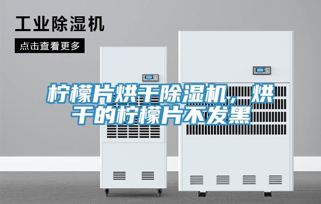 檸檬片烘干除濕機，烘干的檸檬片不發黑