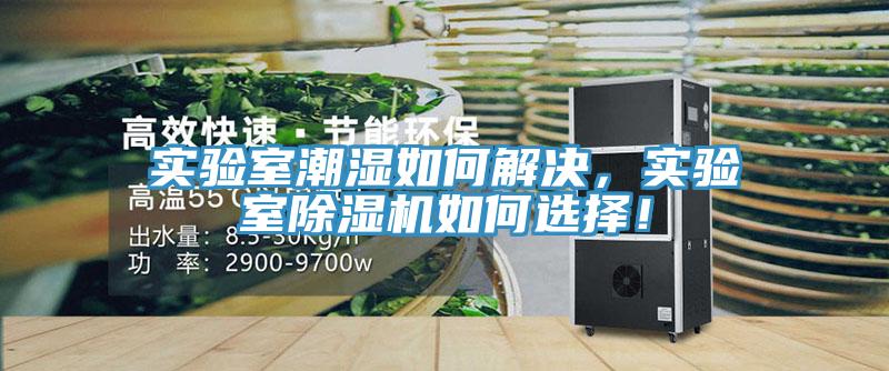 實驗室潮濕如何解決，實驗室除濕機如何選擇！