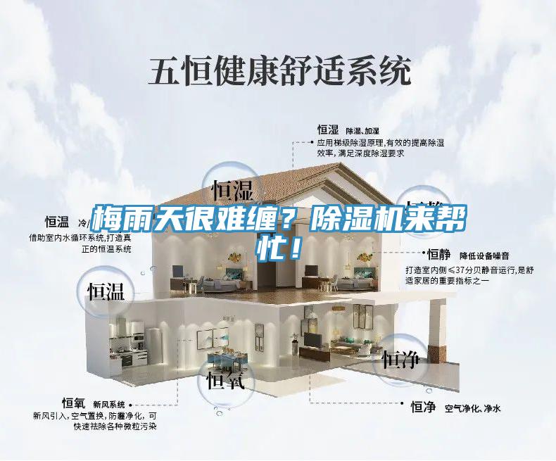 梅雨天很難纏？除濕機來幫忙！