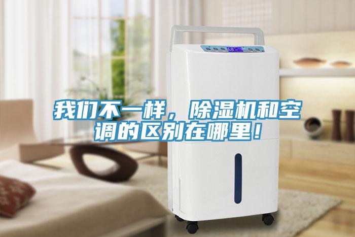 我們不一樣，除濕機和空調的區別在哪里！