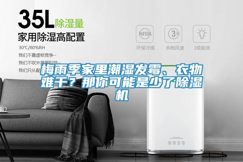 梅雨季家里潮濕發(fā)霉、衣物難干？那你可能是少了除濕機(jī)