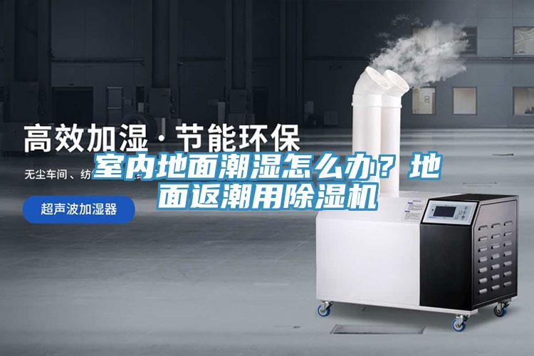 室內地面潮濕怎么辦？地面返潮用除濕機
