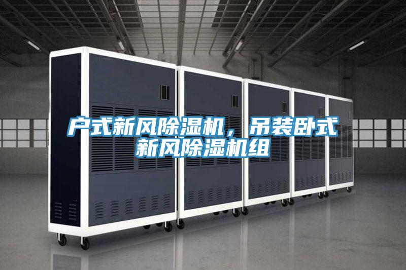 戶式新風除濕機，吊裝臥式新風除濕機組