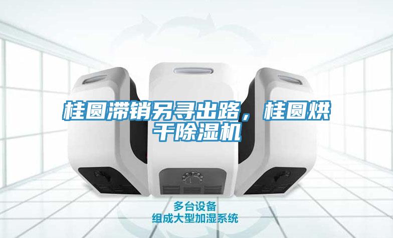 桂圓滯銷另尋出路，桂圓烘干除濕機
