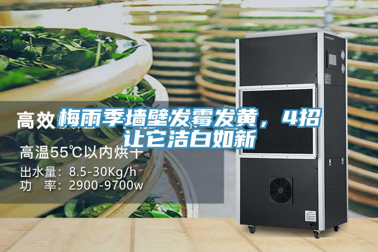 梅雨季墻壁發(fā)霉發(fā)黃，4招讓它潔白如新