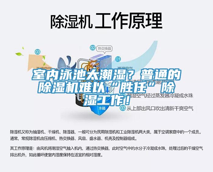 室內(nèi)泳池太潮濕？普通的除濕機(jī)難以“勝任”除濕工作！