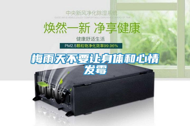 梅雨天不要讓身體和心情發霉