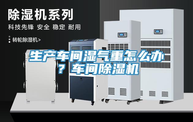 生產(chǎn)車間濕氣重怎么辦？車間除濕機