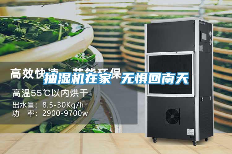 抽濕機在家 無懼回南天