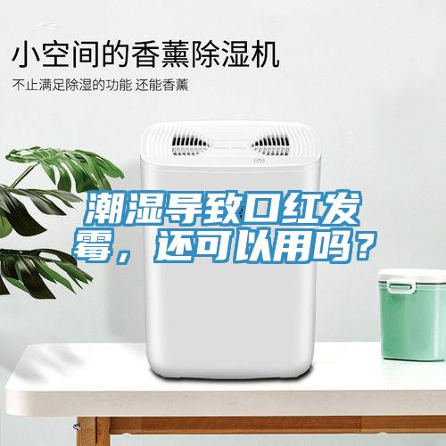 潮濕導(dǎo)致口紅發(fā)霉，還可以用嗎？