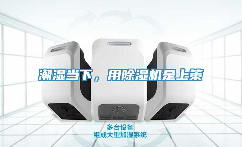 潮濕當下，用除濕機是上策