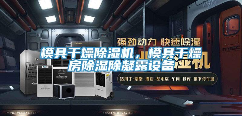 模具干燥除濕機，模具干燥房除濕除凝露設(shè)備