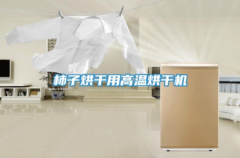 柿子烘干用高溫烘干機