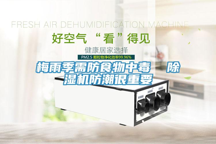 梅雨季需防食物中毒  除濕機防潮很重要