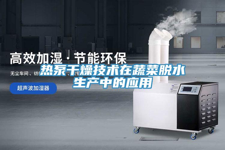 熱泵干燥技術在蔬菜脫水生產中的應用