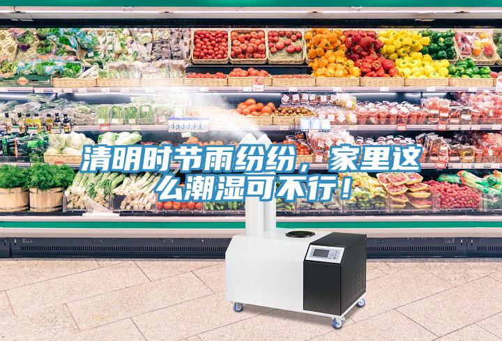 清明時(shí)節(jié)雨紛紛，家里這么潮濕可不行！