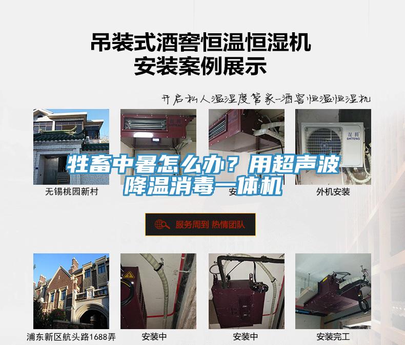 牲畜中暑怎么辦？用超聲波降溫消毒一體機