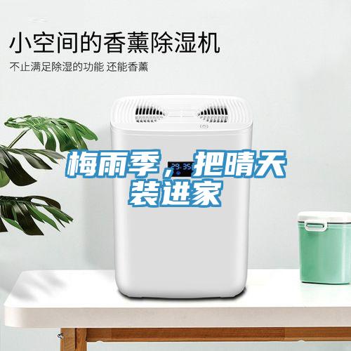 梅雨季，把晴天裝進家