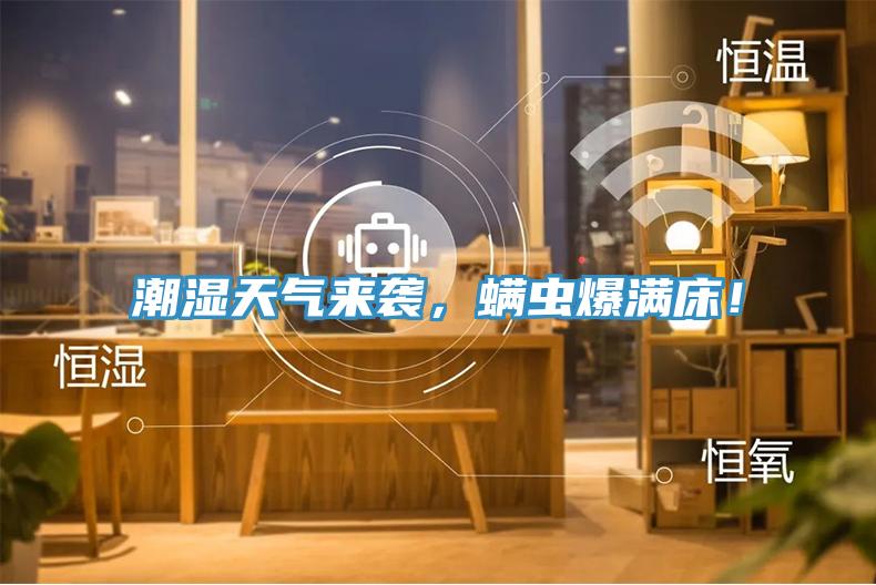 潮濕天氣來襲，螨蟲爆滿床！