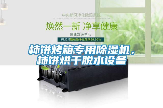 柿餅烤箱專用除濕機，柿餅烘干脫水設備