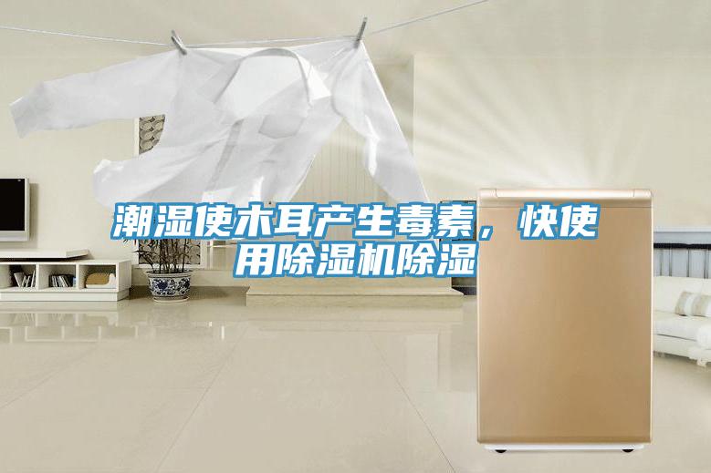 潮濕使木耳產(chǎn)生毒素，快使用除濕機(jī)除濕