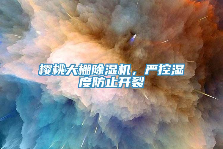 櫻桃大棚除濕機，嚴控濕度防止開裂