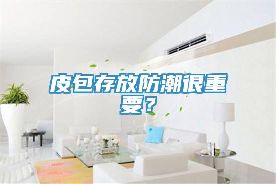 皮包存放防潮很重要？