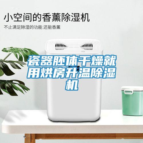 瓷器胚體干燥就用烘房升溫除濕機