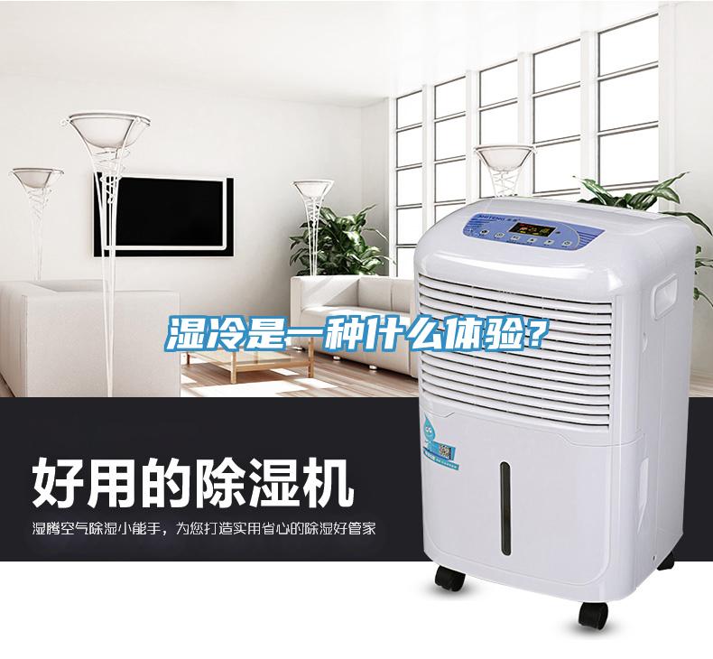 濕冷是一種什么體驗？