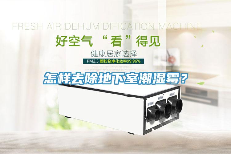 怎樣去除地下室潮濕霉？