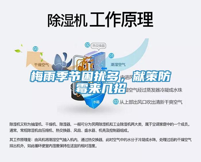 梅雨季節困擾多，獻策防霉來幾招