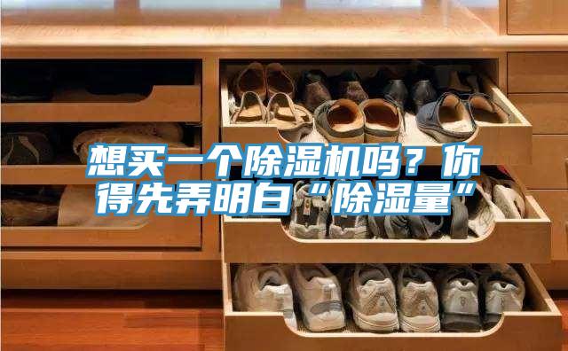 想買一個(gè)除濕機(jī)嗎？你得先弄明白“除濕量”