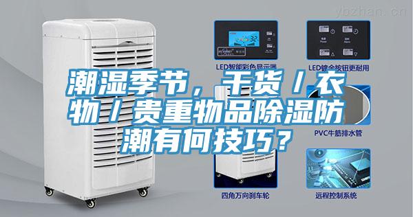 潮濕季節(jié)，干貨／衣物／貴重物品除濕防潮有何技巧？