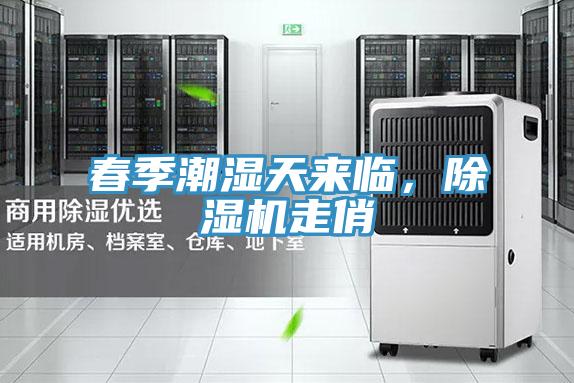 春季潮濕天來(lái)臨，除濕機(jī)走俏