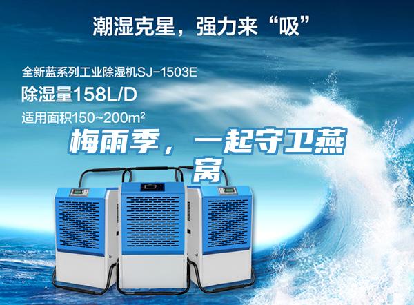 梅雨季，一起守衛燕窩