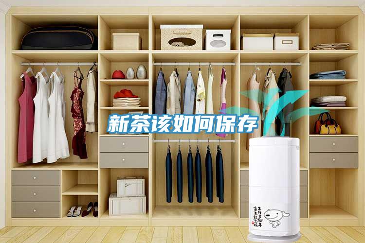 新茶該如何保存