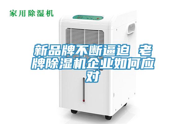 新品牌不斷逼迫 老牌除濕機企業如何應對