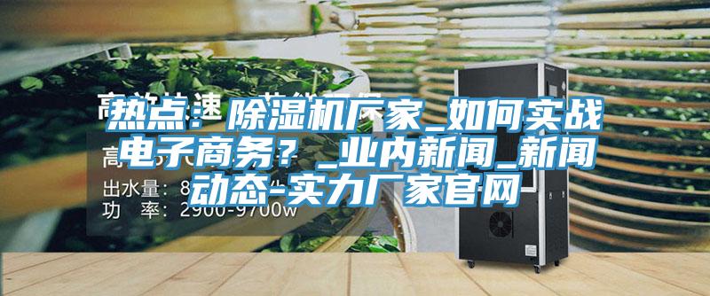 熱點(diǎn)：除濕機(jī)廠家_如何實(shí)戰(zhàn)電子商務(wù)？_業(yè)內(nèi)新聞_新聞動態(tài)-實(shí)力廠家官網(wǎng)