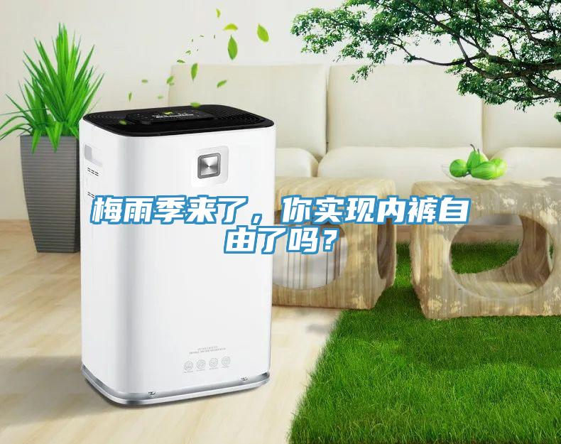 梅雨季來了，你實現內褲自由了嗎？