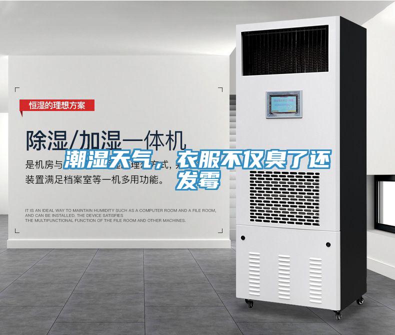 潮濕天氣，衣服不僅臭了還發霉