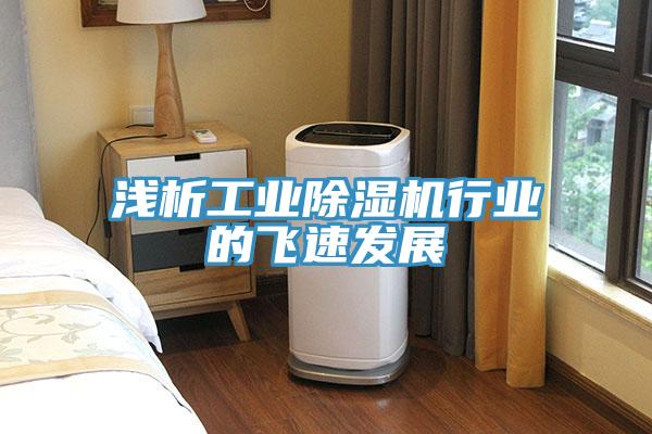 淺析工業除濕機行業的飛速發展