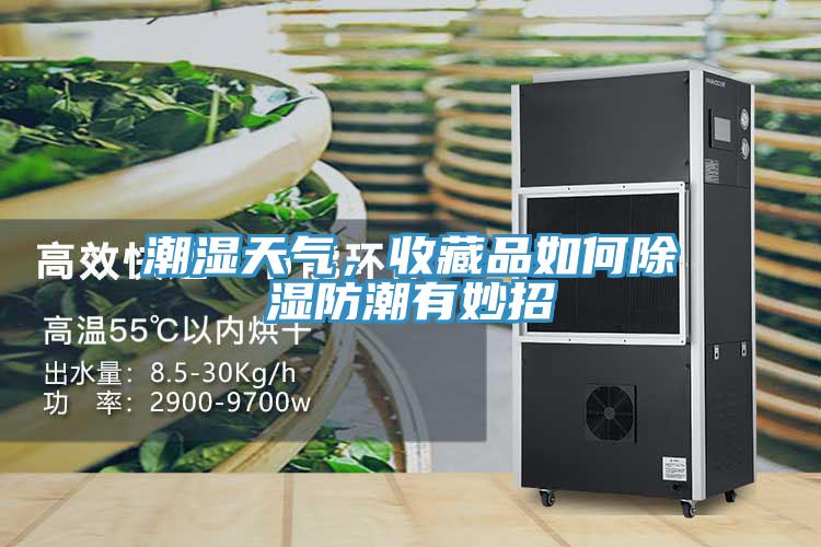 潮濕天氣，收藏品如何除濕防潮有妙招