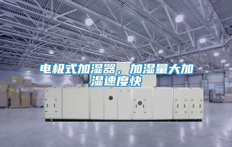 電極式加濕器，加濕量大加濕速度快