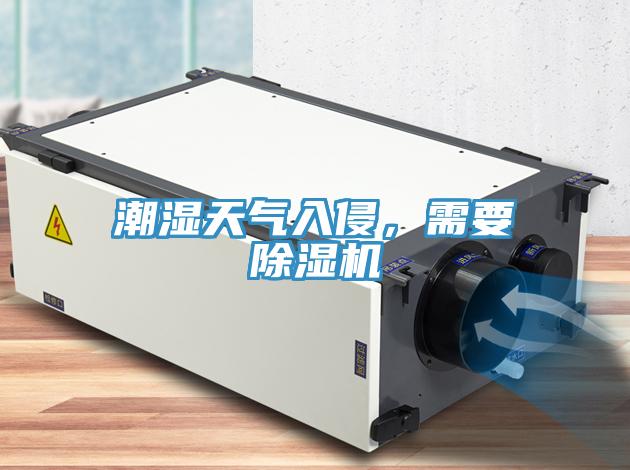 潮濕天氣入侵，需要除濕機