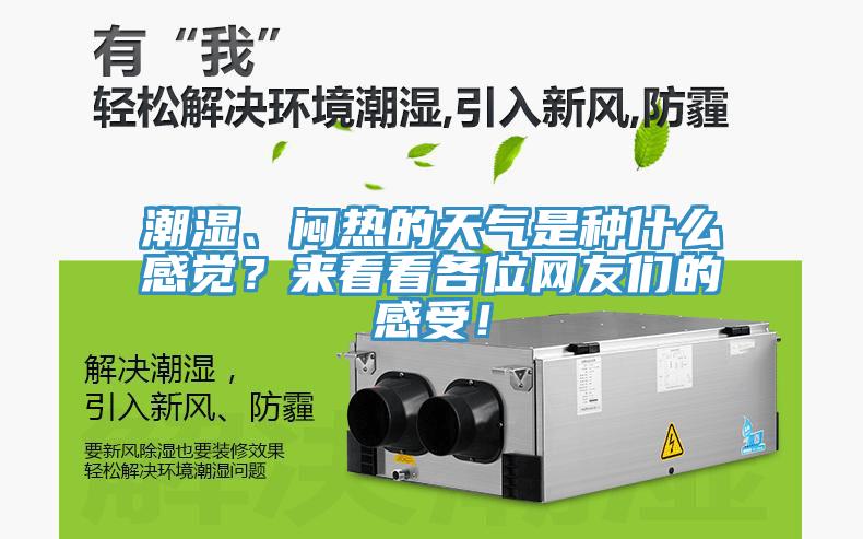潮濕、悶熱的天氣是種什么感覺？來看看各位網(wǎng)友們的感受！